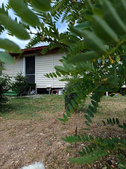 Vind cabana ?i teren in jud.Arges - 7