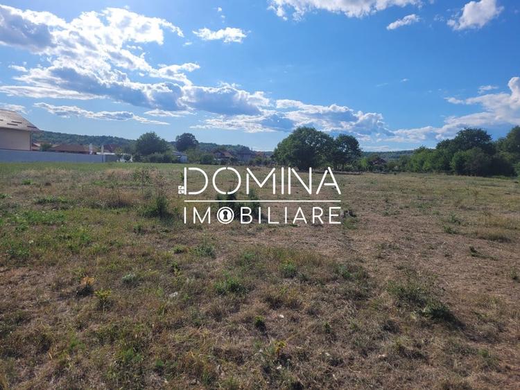 Vanzare teren intravilan cu PUZ, situat in Targu-Jiu, localitatea Slobozia - 2