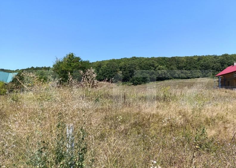 Teren 10200mp , toate utilitatile , la 10 km de DEJ - 1