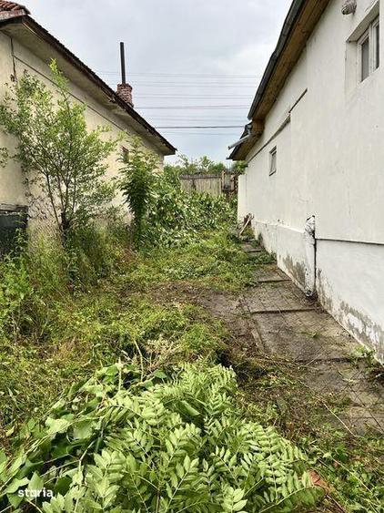 Teren si casa Provita de Jos - 7