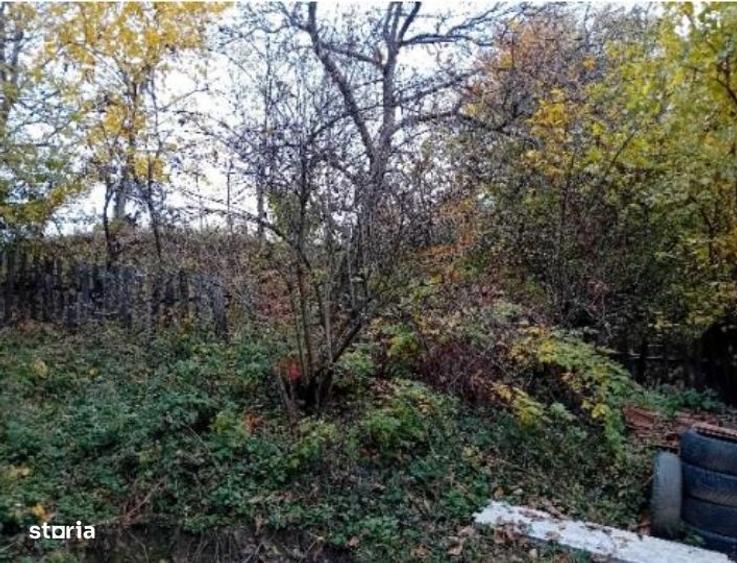 casa si teren-com. Stoenesti, jud. Valcea - 6