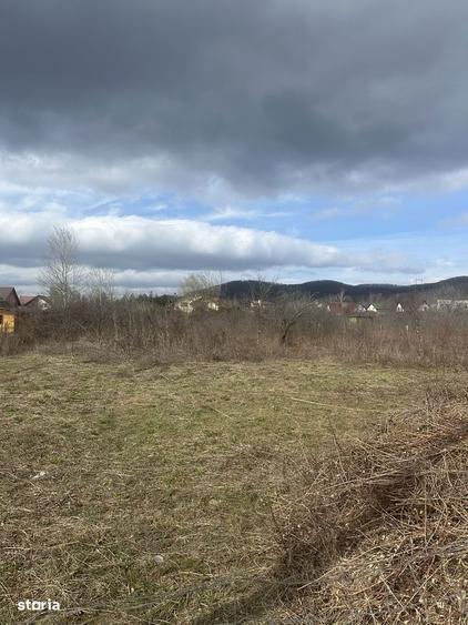 BANESTI - teren intravilan - 1035mp - 50 Euro/mp - 1