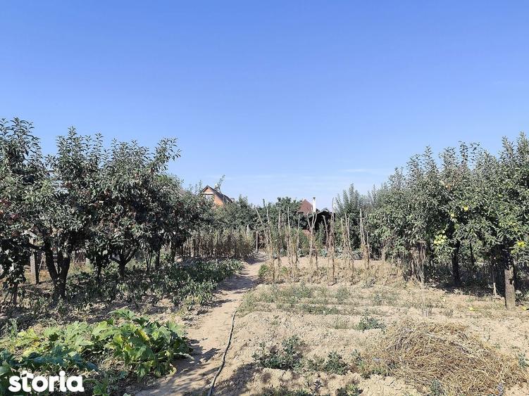 Casa la tara in Sacadat, Bihor, teren 2826 mp, acces auto - Vanzare - 4