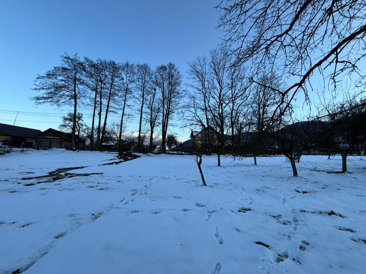 Teren intravilan 763 mp in zona Bran-Tohanita,judetul Brasov - 9