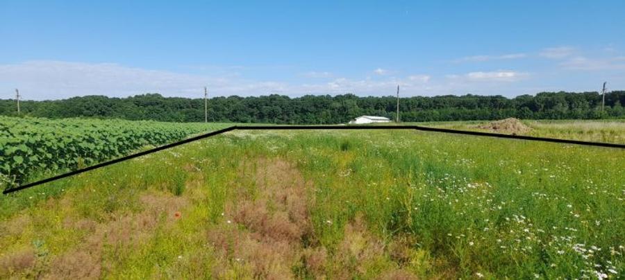 CIOLPANI, Intravilan, padurea Snagov, planul 2 DN 1 - 6