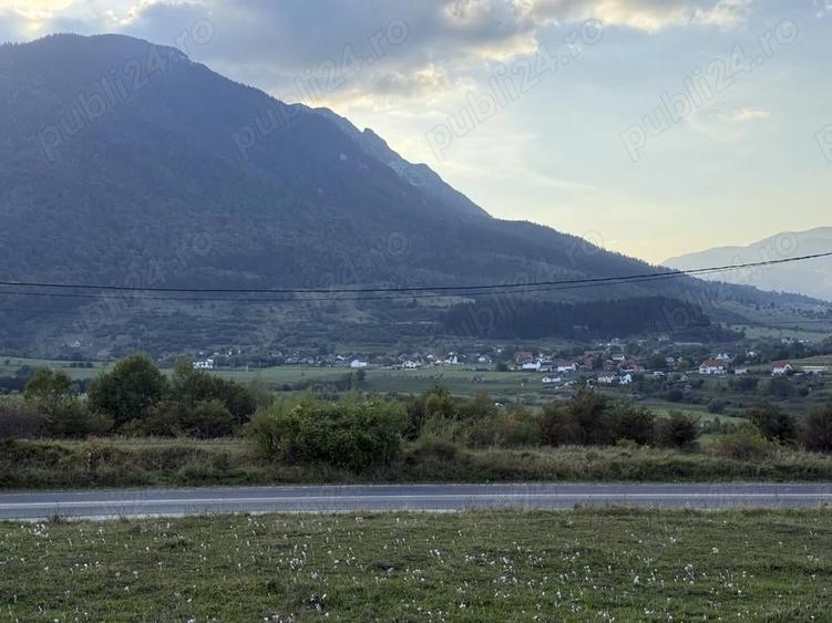 Teren intravilan 500 sau 1000 mp Bran-Tohanita la dum asfaltat - 7