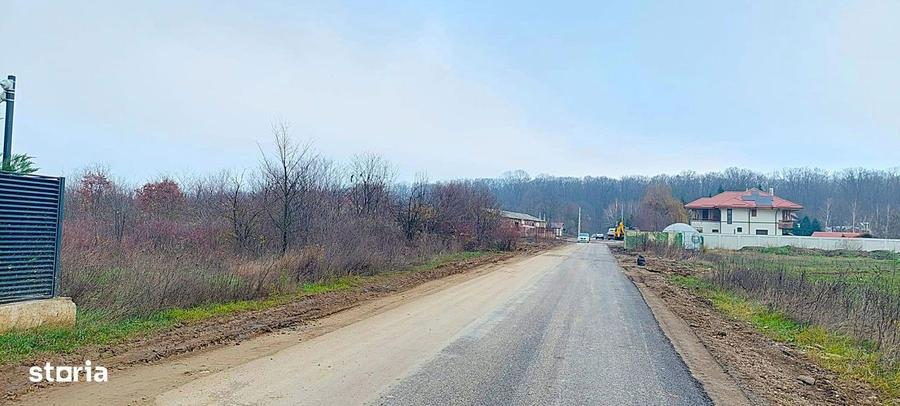 Teren de vanzare 1000mp Mogosoaia, excelenta investitie, 115E/mp+TVA - 7