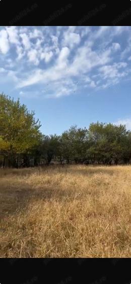 vanzare teren intravilan cornatelu dambovita - 1