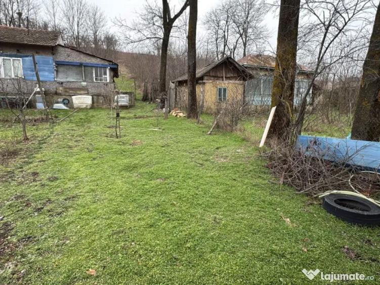 Teren 2.038 mp + Casa 50 mp de vanzare Sat Luncsoru, C - 11