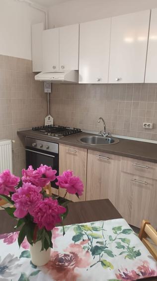 Persoana fizica dau in chirie apartament Intre Lacuri - 2