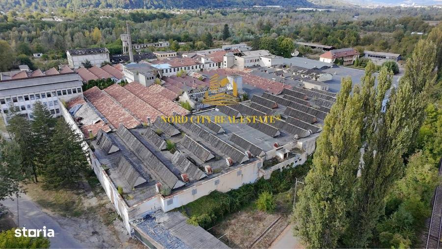 Platforma Industriala-8 ha -Fabrica-Hale Productie-21.500 mp - 6