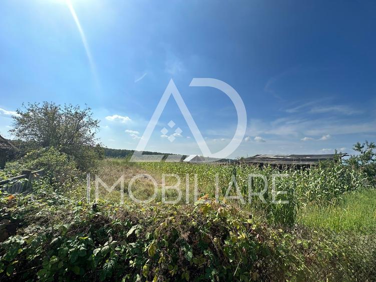 Teren situat în Drăguțești, sat Urechești - 7