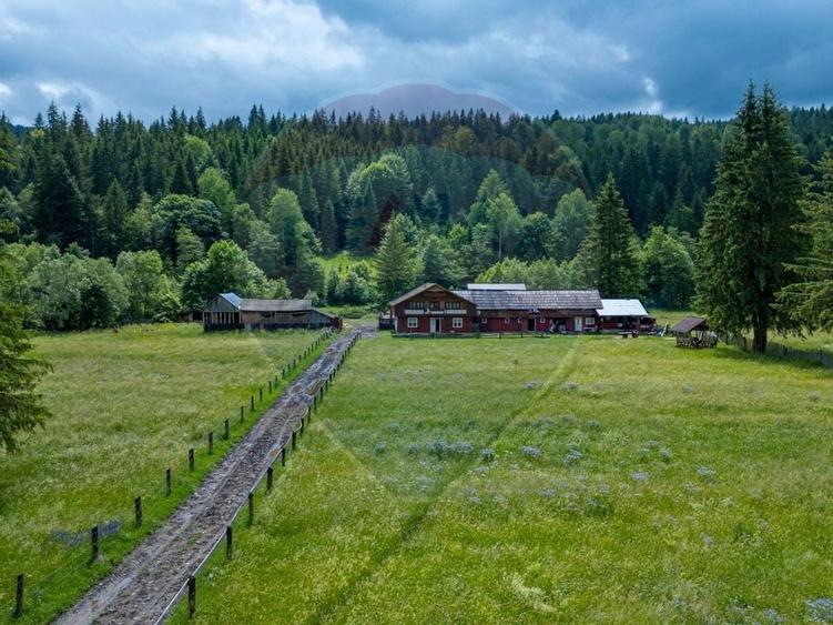 Ferma de vanzare, teren 21436 mp intravilan, Cosnea, Agas - 14