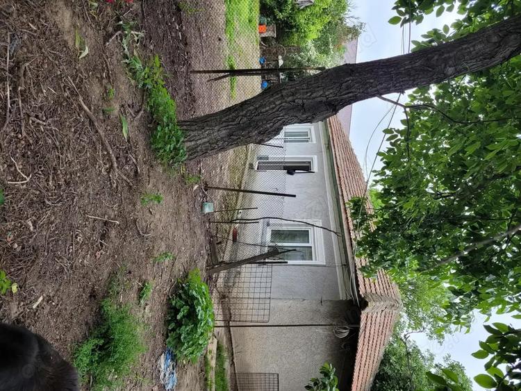 Casa cu teren aproape de Bucure?ti la 15 minute! - 1