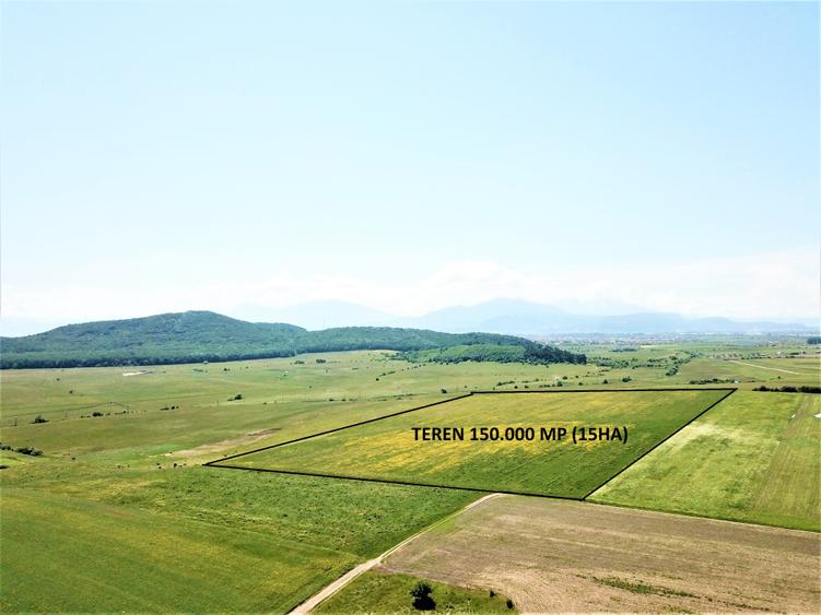 Teren Bod - ideal dezvoltare cartier rezidential - 1