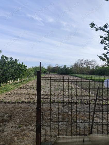 Vand casa cu teren sat Sarbova - 4