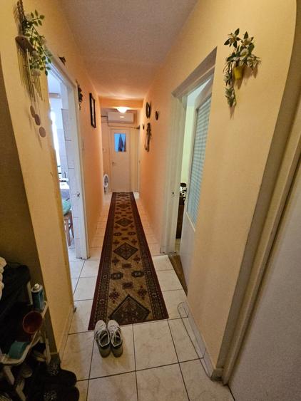 Alexandria centru Penny - 5