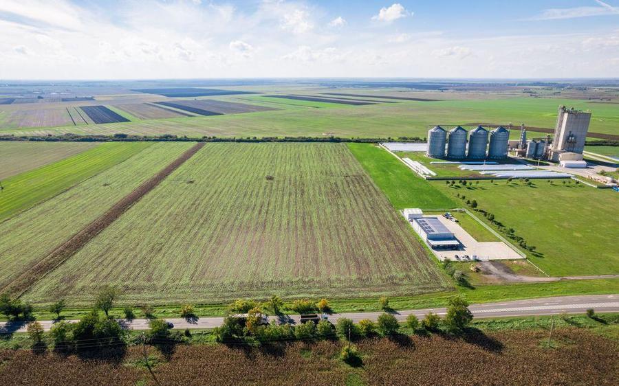 Teren de 104000 mp in Vinga - 1