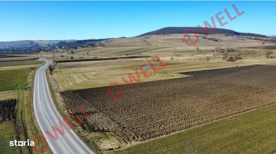 De vanzare teren extravilan intre Bibor?eni ?i Ba?anii Mari - 4