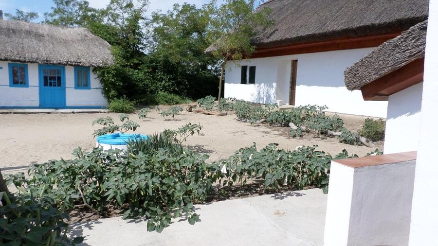 DELTA DUNARII, BIOSFERA, LETEA, Proprietate de VIS!  proprietar, - 14