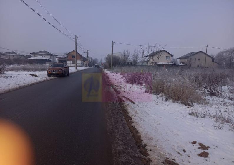 Teren Domnesti 12300 mp de vanzare sau asociere - 6