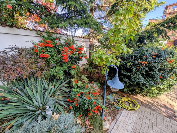 Jiului-Coralilor-Damaroaia,eleganta,robusta,garaj,curte intima,vegetatie matura - 5