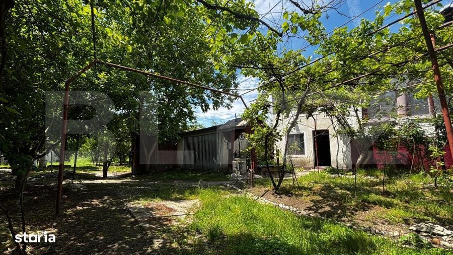 Proprietate cu 2 case, 3.345 mp teren, Balota de Jos, comuna Murgasi - 1