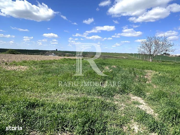 Teren intravilan | Le? | Bihor - 1