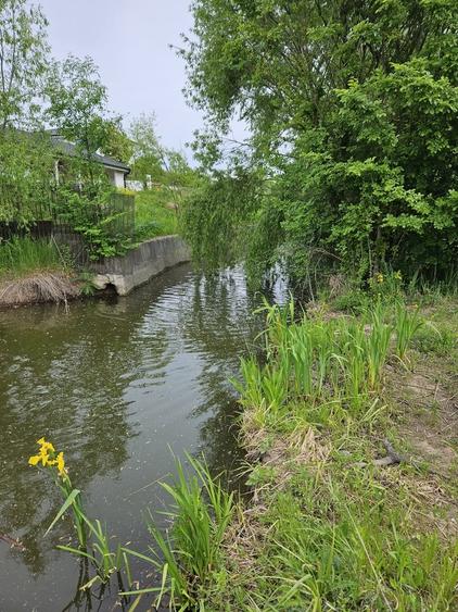 Snagov, Ghermanesti DJ101b - 3