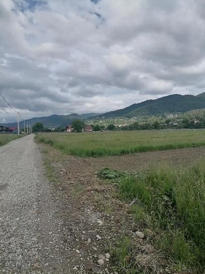 Teren 3000 mp intravilan Viisoara - 2