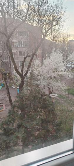 Persoana fizica inchiriez ap. cu 3 camere pe str Vasile Lucaciu - 3