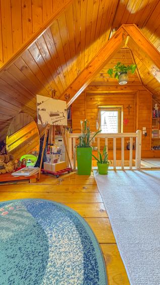 Casa renovata, semineu si terasa privata, Str.Nicopole - 16