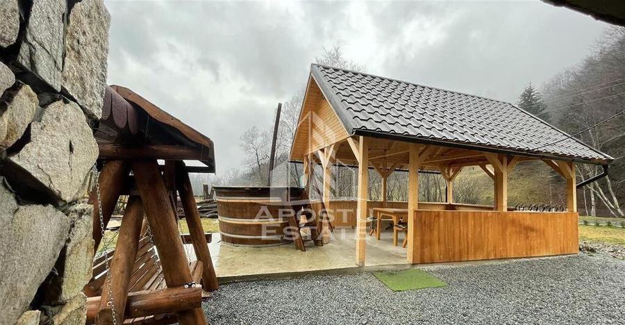 Cabana de inchiriat in Apuseni, Ciubar, Fara vecini, Fois... - 10
