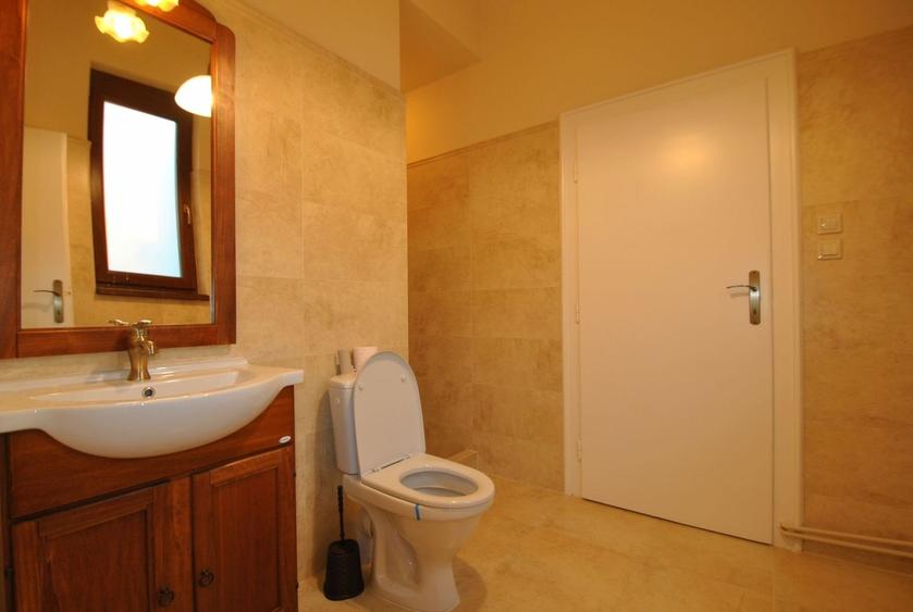 Apartament spatios, in zona Medicinei, la 550 euro - 13