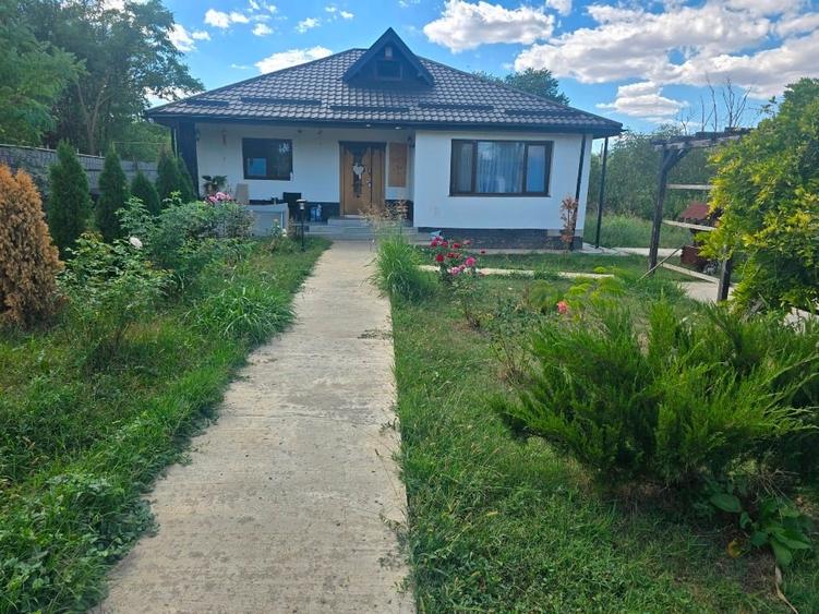 Casa de vanzare ,gaz,piscina etc - 1