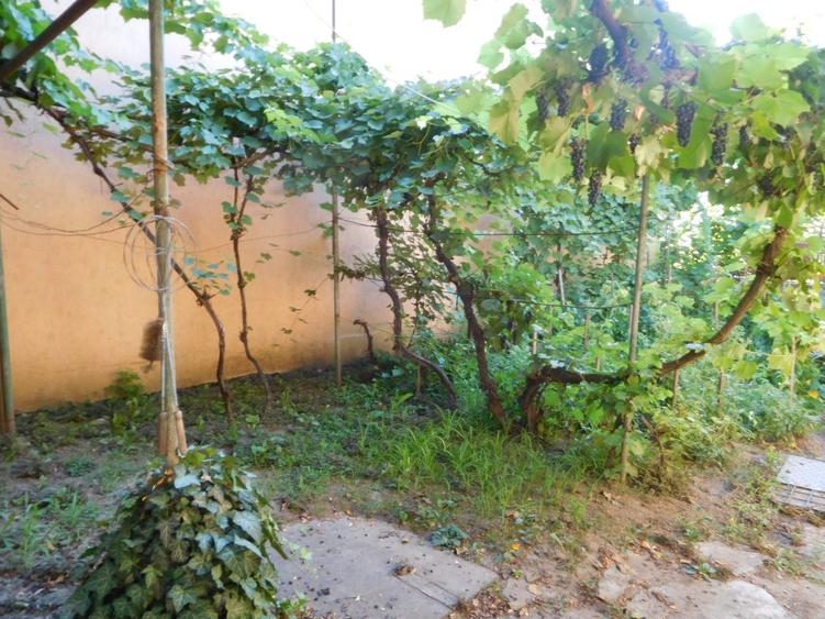 Vanzare casa individuala + teren in cart Iris - 2