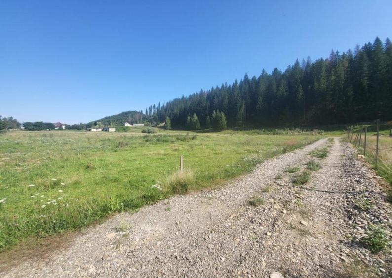 Teren, Ideal pentru Investitie Sau Dezvoltare - 7