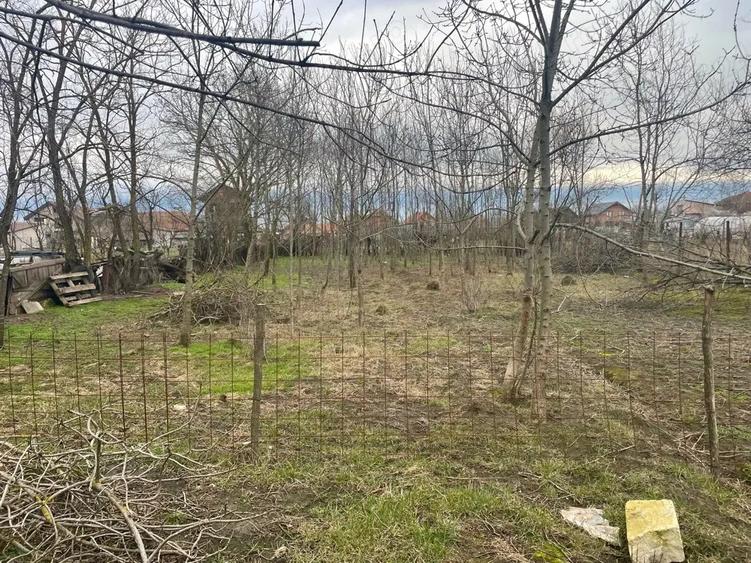 Proprietar vand casa la gri in Jebel - 3