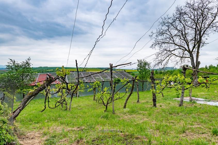 Teren Construcții intravilan de 13434 mp, în Ardeoani