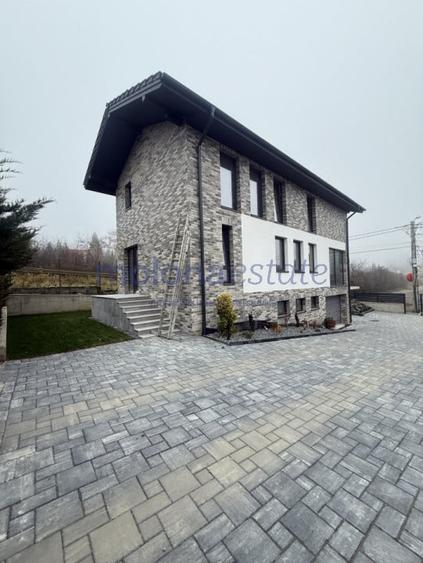 Casă individuală cu 6 camere cu Canalizare în Făget