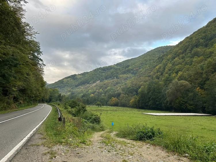Teren de 1000 mp, în Șugag