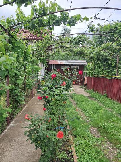 Casă cu 3 camere cu Teren 720 Mp în Fălticeni