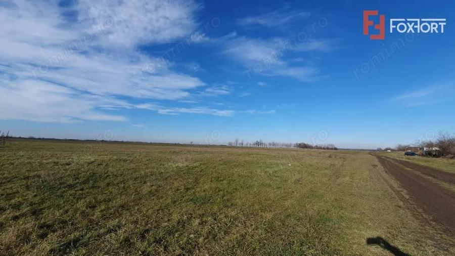 Teren de 665 mp, în Pădureni (Jebel)