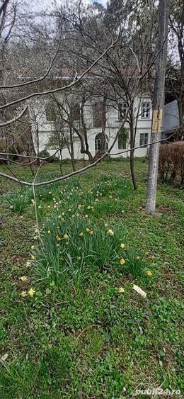 Casă în Băile Herculane