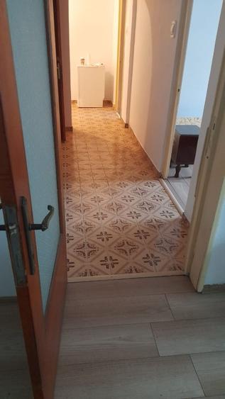 Sector 2, Teiul Doamnei, str. Brasoveni - 5