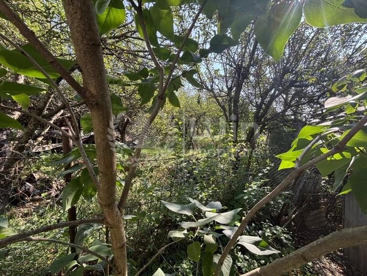 Casa individuala | 200 mp util | 780mp teren | Zona TCI | Borhanci - 2