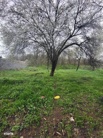 OPORTUNITATE!!! CASA DE VANZARE IN CALNIC LA 35.000 EURO - 1