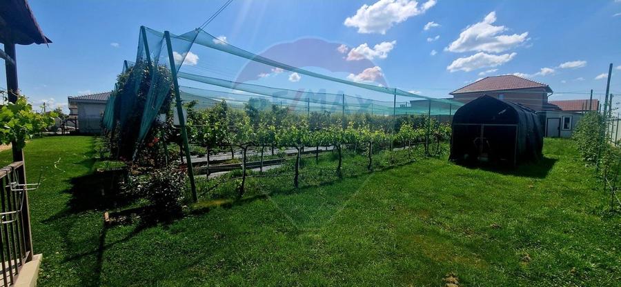 TEREN Investitie livada cu 116 pomi fructiferi in Comuna Livada - 1