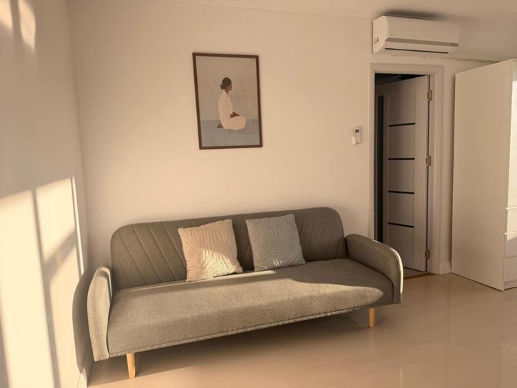 Alexandru Cel Bun Liceul Miron Costin apartament 2 camere 45 mp cu CT - 10