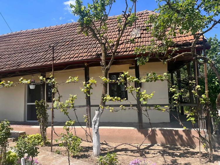 Casa de vanzare in jud.Satu Mare - 4